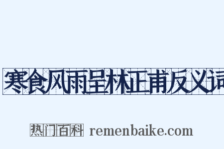 寒食风雨呈林正甫反义词是什么意思的图片